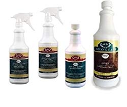 Stone Cleaners and Sealers